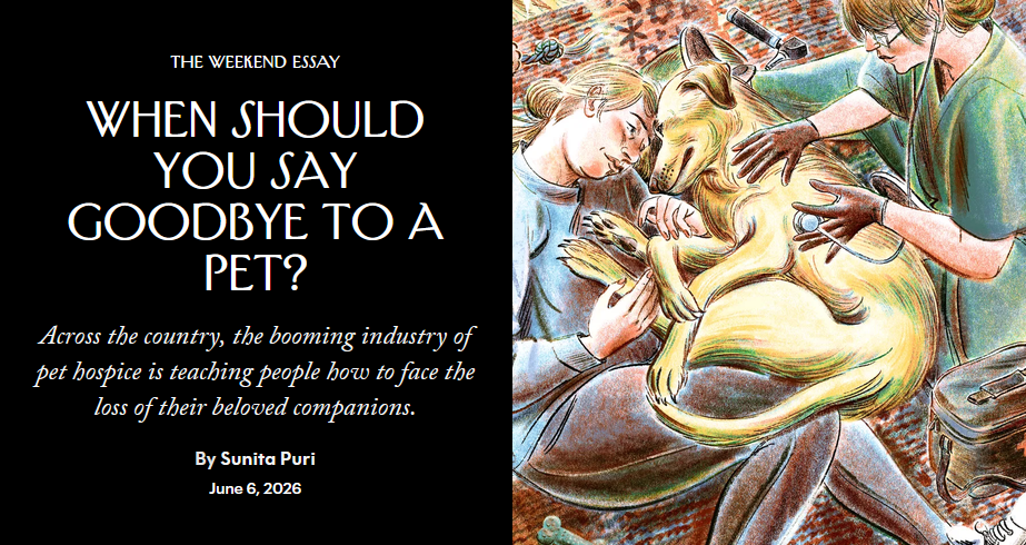 New-Yorker_Article Dr Jessamyn Kennedy is featured in The New Yorker.